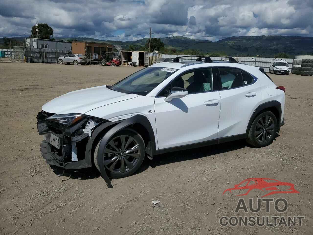 LEXUS UX 200 2019 - JTHY3JBH6K2014798