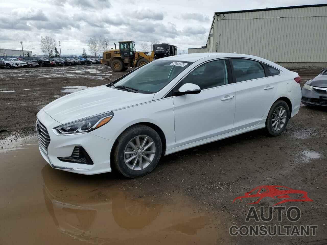 HYUNDAI SONATA 2019 - 5NPE24AF0KH793820