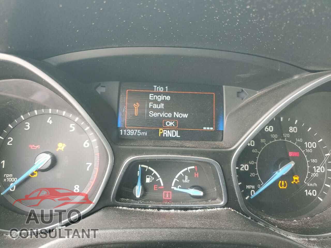 FORD FOCUS 2017 - 1FADP3E24HL313545