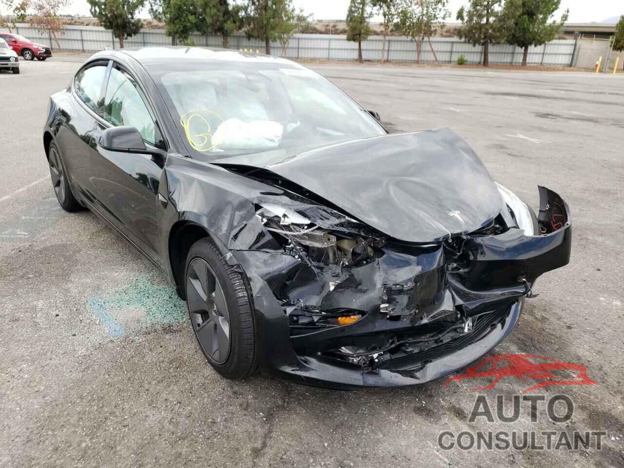 TESLA MODEL 3 2021 - 5YJ3E1EA1MF064559