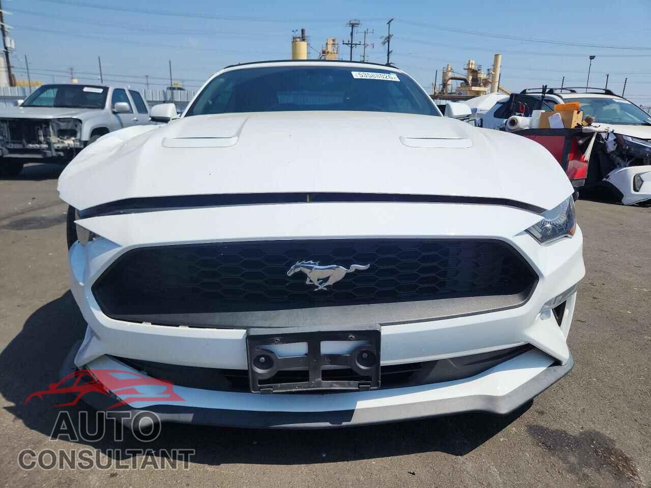 FORD MUSTANG 2019 - 1FATP8UH7K5181617