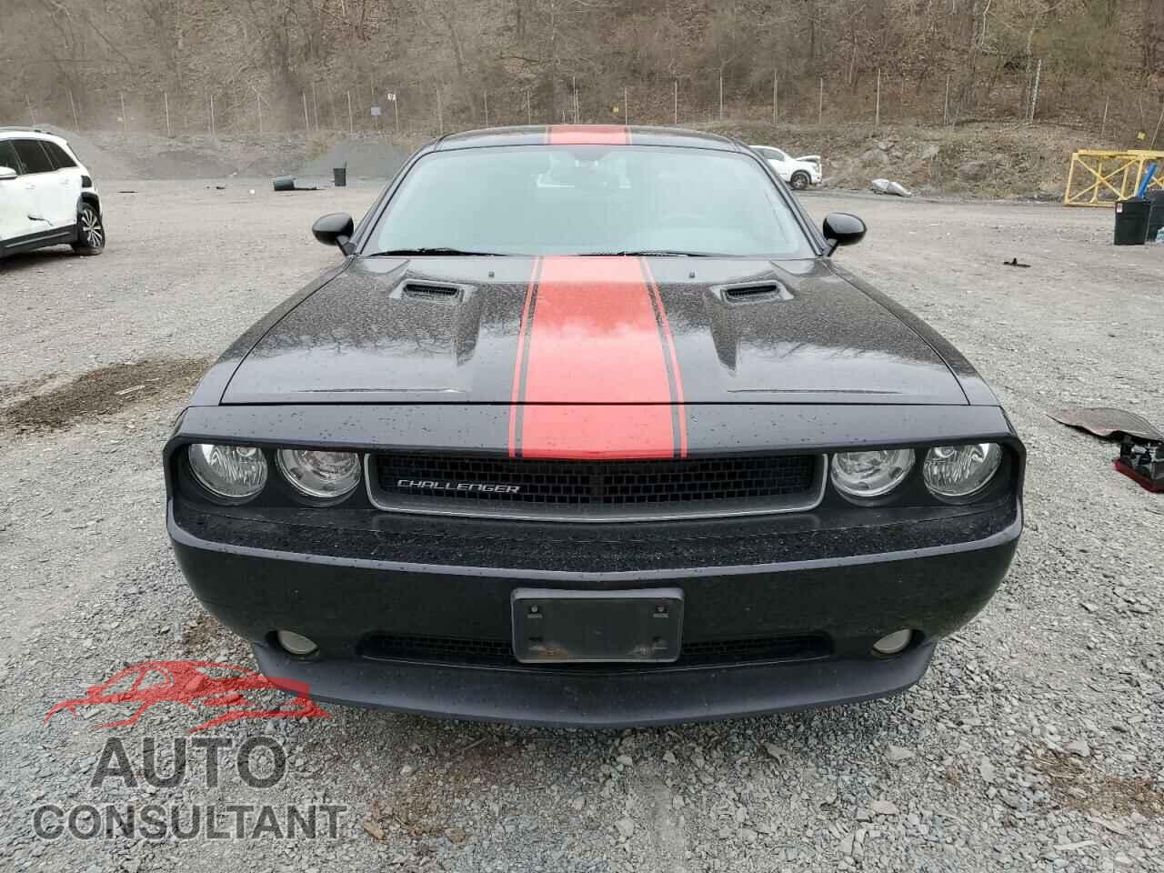 DODGE CHALLENGER 2013 - 2C3CDYAGXDH594226