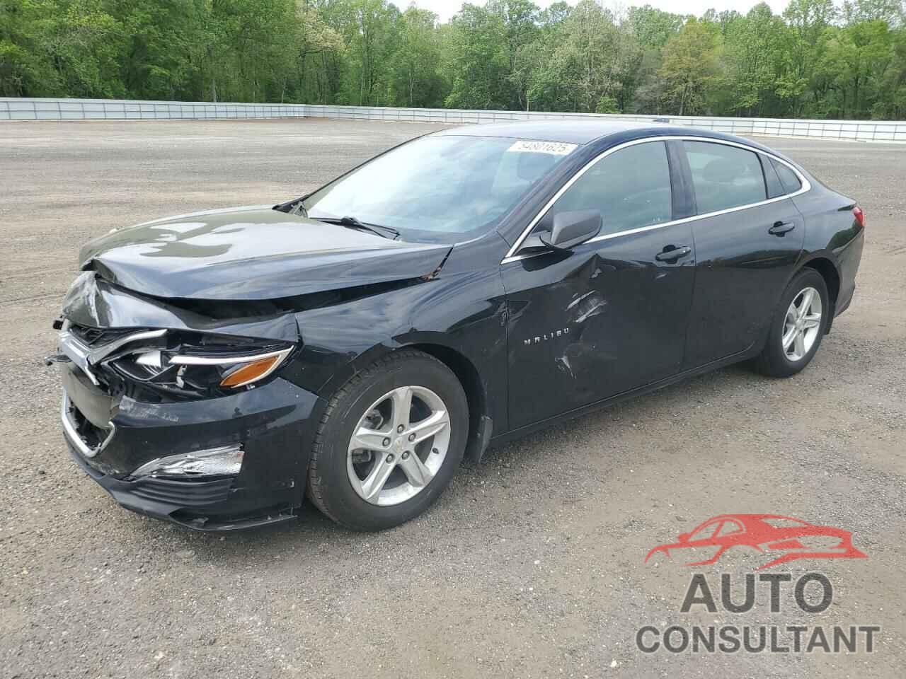 CHEVROLET MALIBU 2019 - 1G1ZB5ST4KF187483