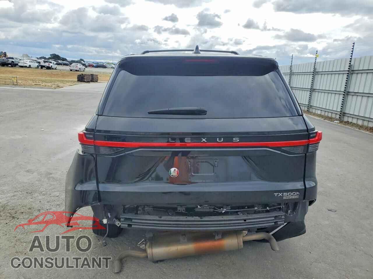 LEXUS UNKNOWN 2024 - 5TDABAB65RS004156