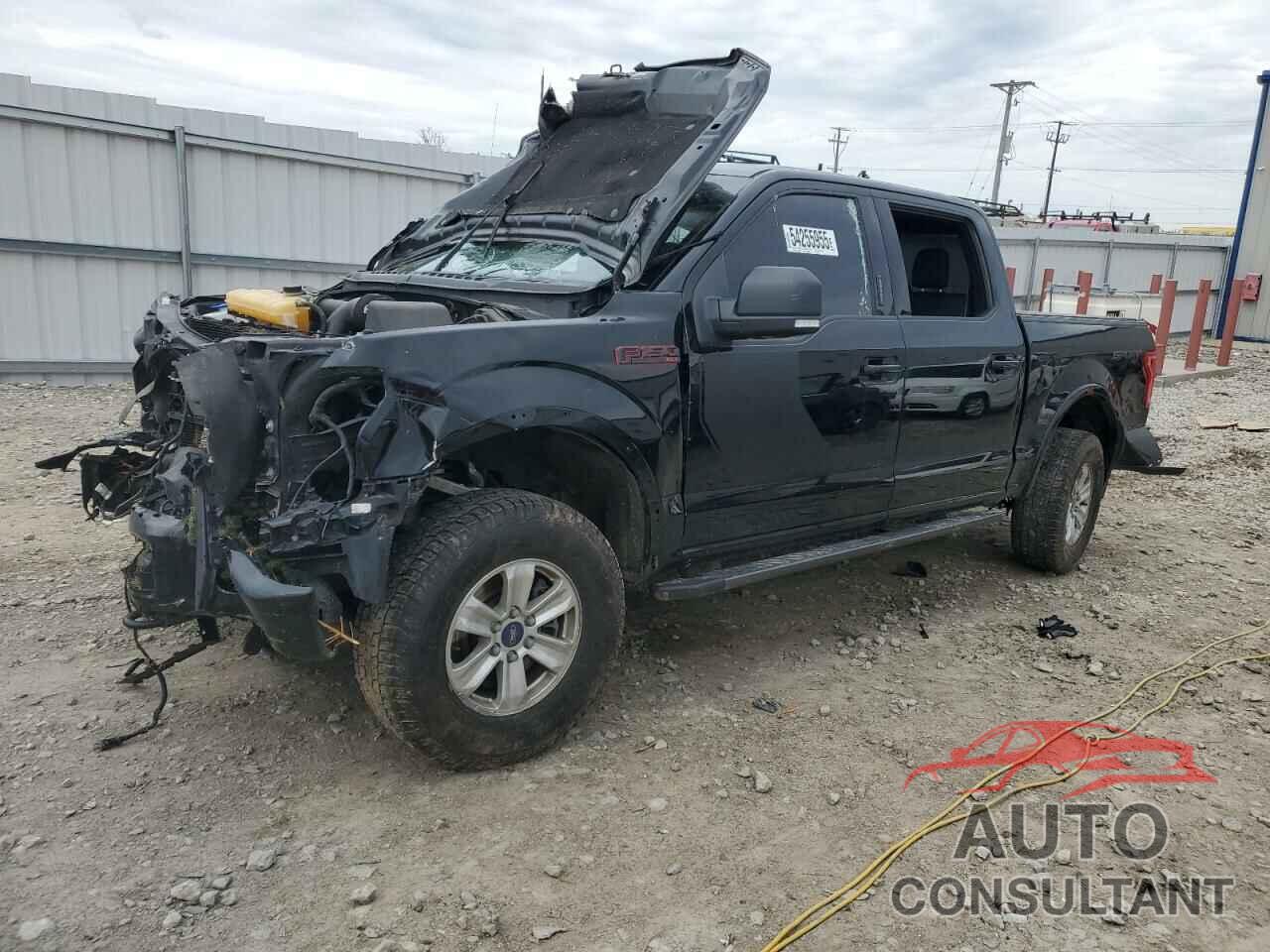 FORD F-150 2016 - 1FTEW1EG2GFD55663