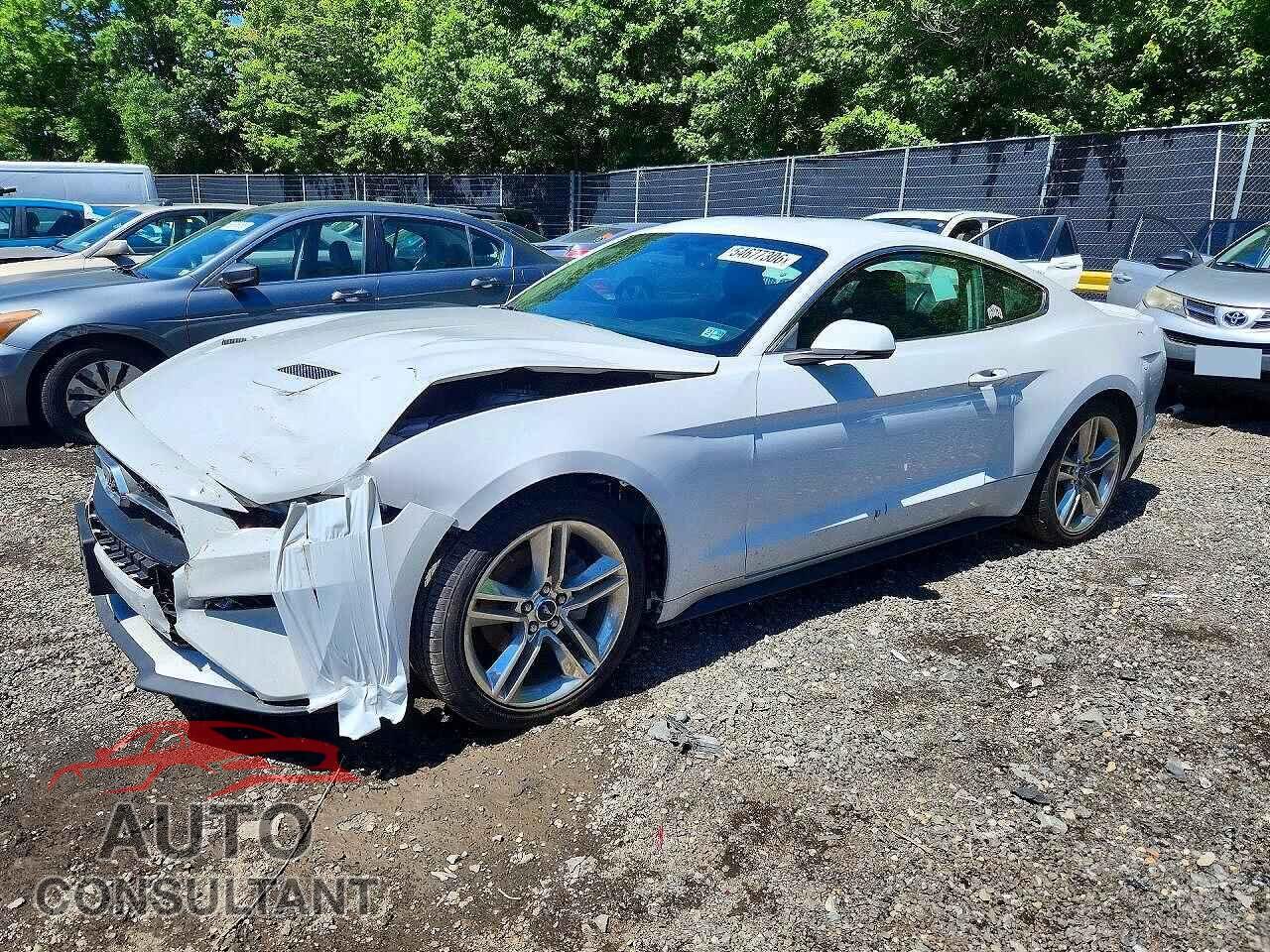 FORD MUSTANG 2019 - 1FA6P8TH3K5185095