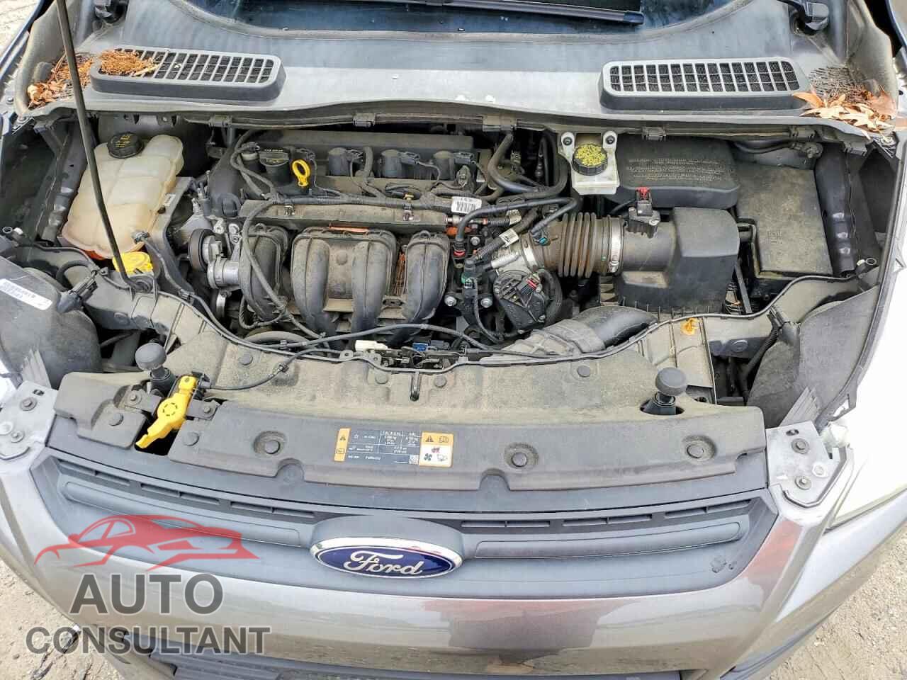 FORD ESCAPE 2014 - 1FMCU0F73EUE46435
