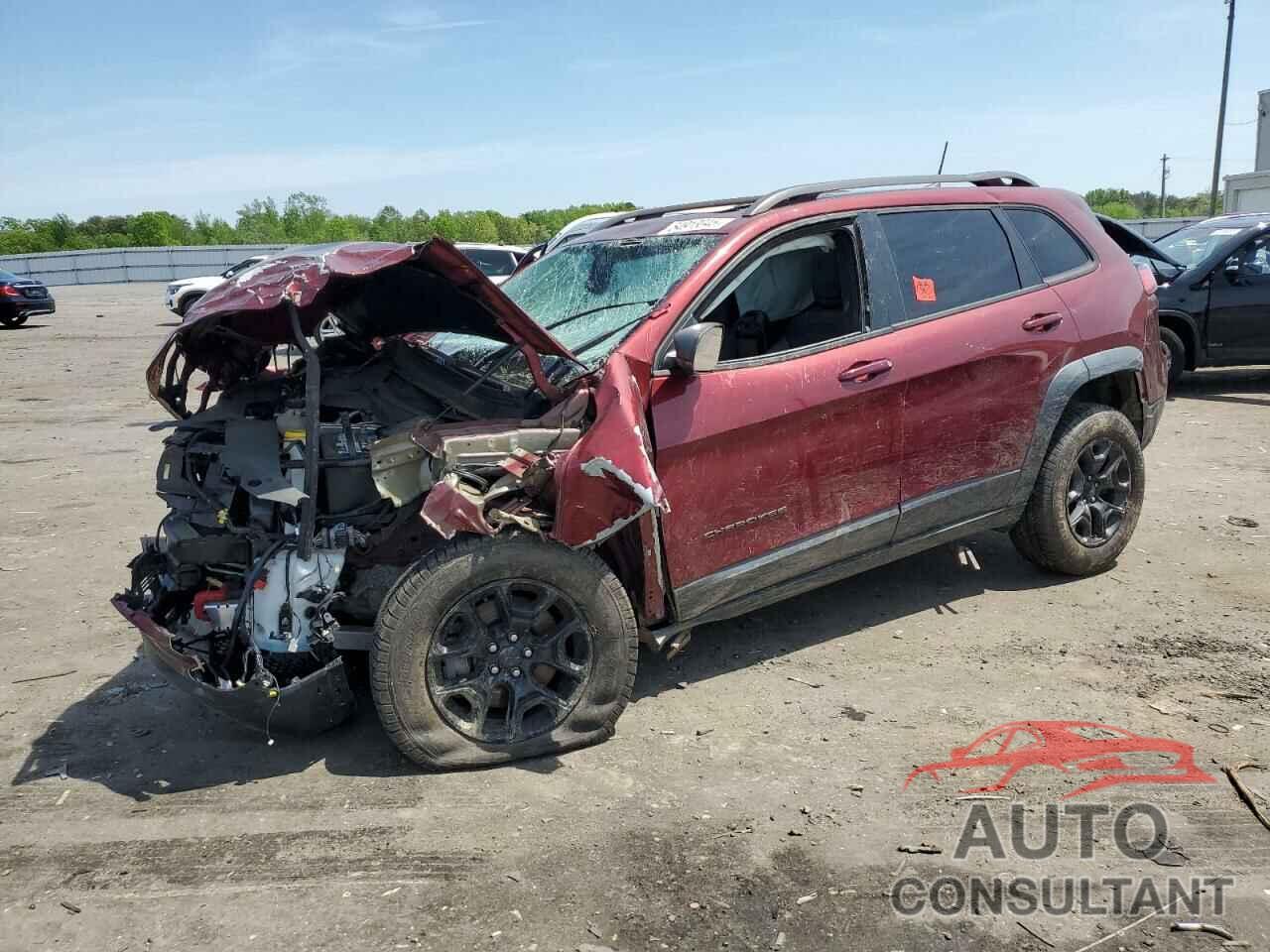 JEEP CHEROKEE 2019 - 1C4PJMBX9KD139228