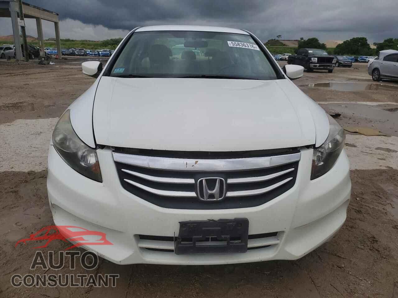 HONDA ACCORD 2011 - 1HGCP2F61BA115513