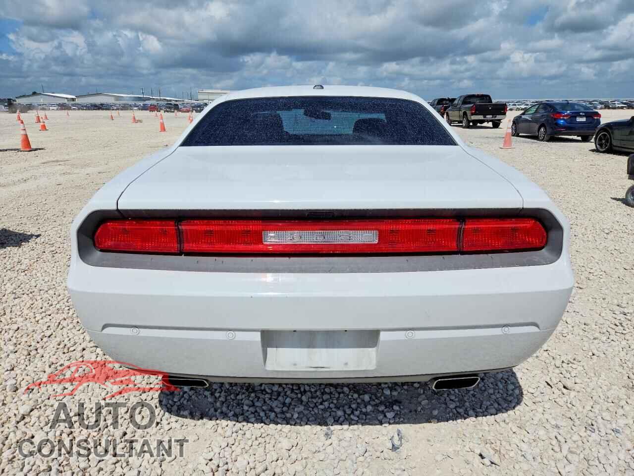 DODGE CHALLENGER 2013 - 2C3CDYAG0DH552065
