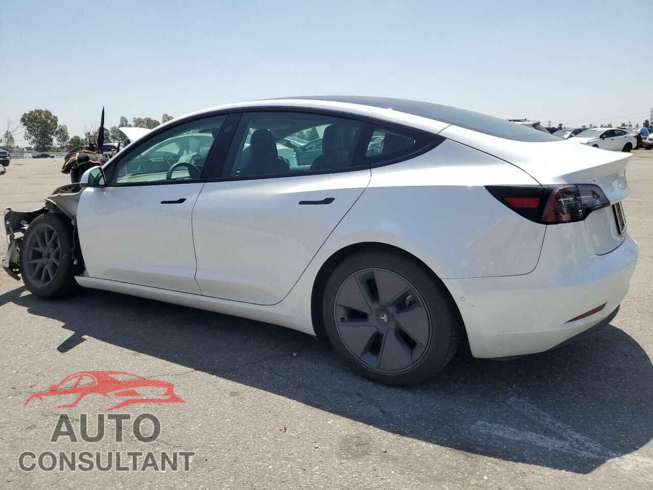TESLA MODEL 3 2021 - 5YJ3E1EA5MF096205