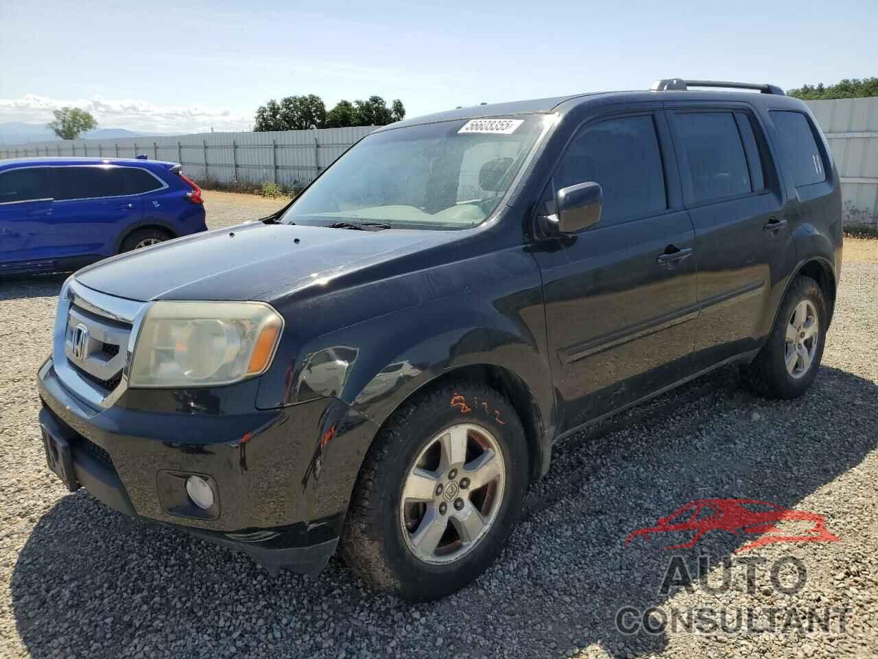 HONDA PILOT 2011 - 5FNYF4H46BB046162