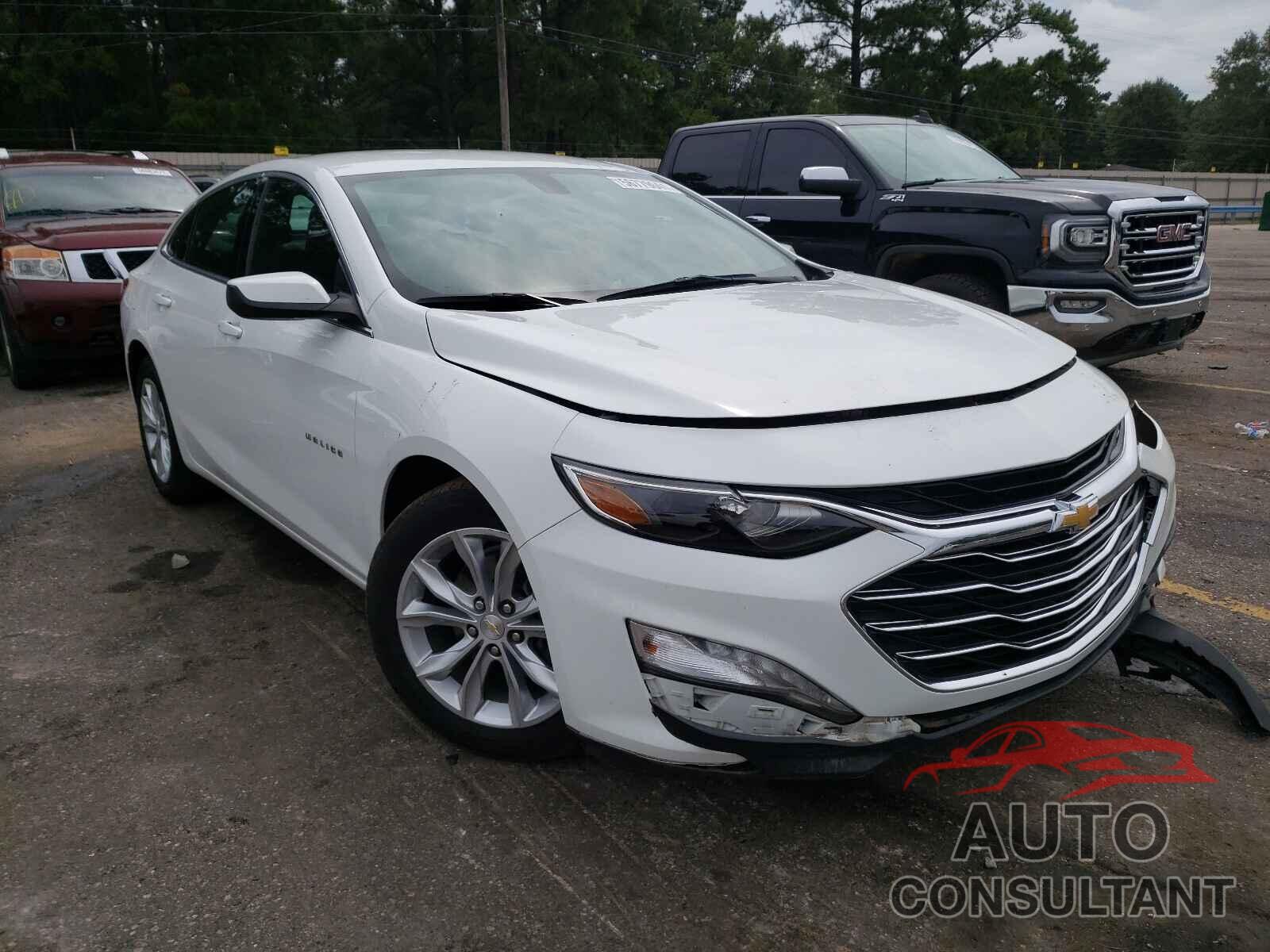 CHEVROLET MALIBU 2019 - 1G1ZD5ST6KF141177