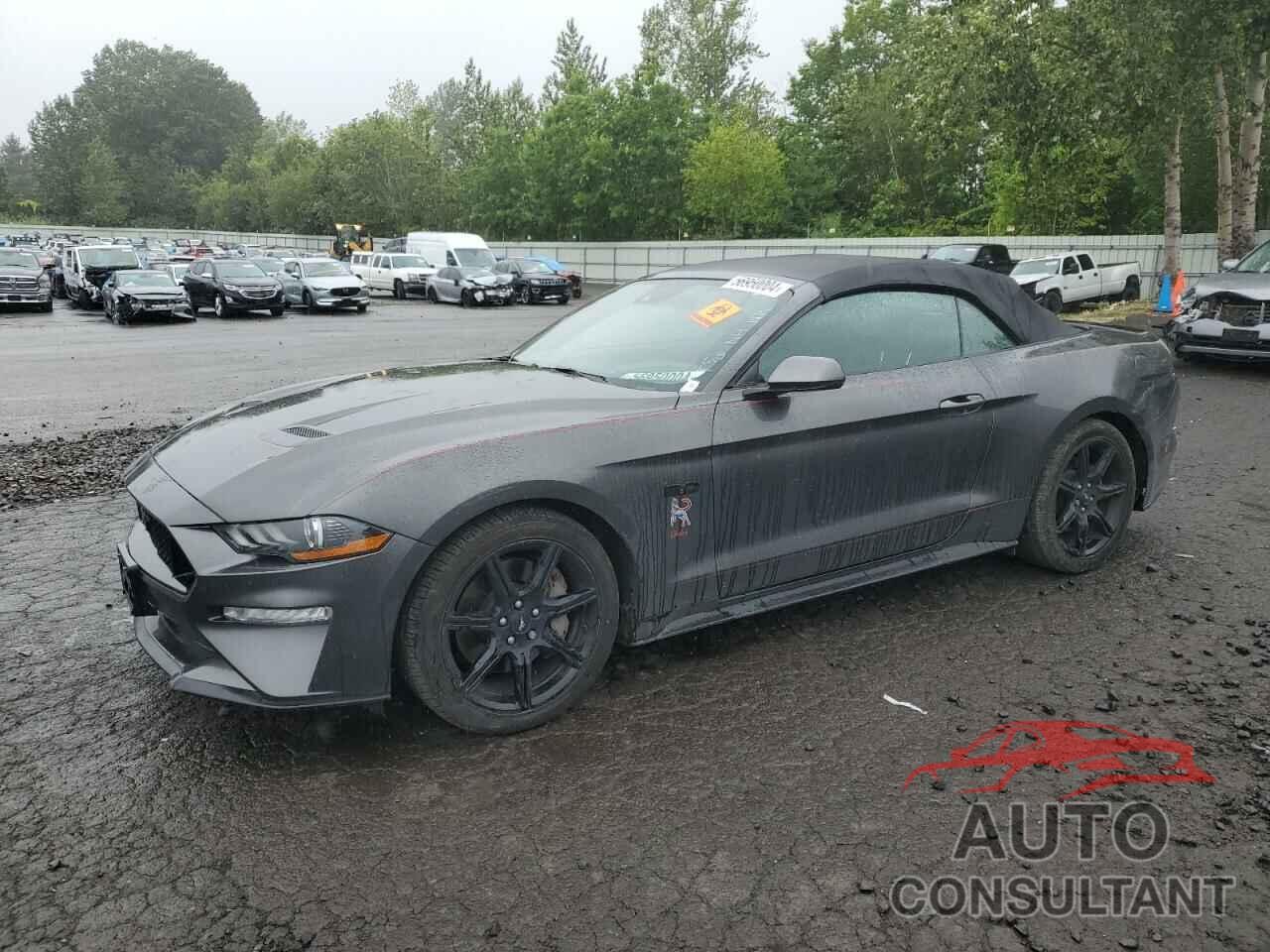 FORD MUSTANG 2019 - 1FATP8FF1K5143604