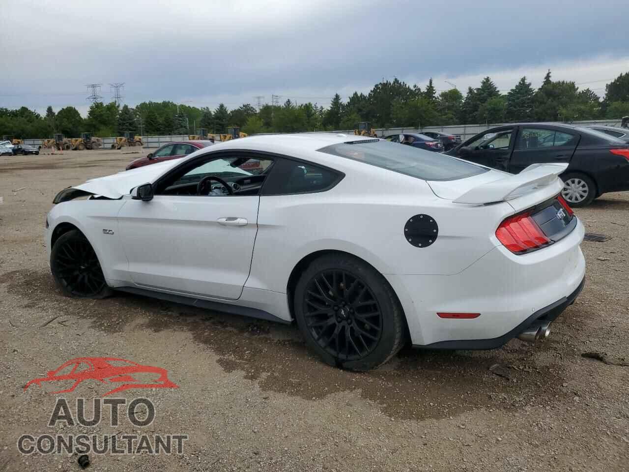 FORD MUSTANG 2019 - 1FA6P8CF8K5117020