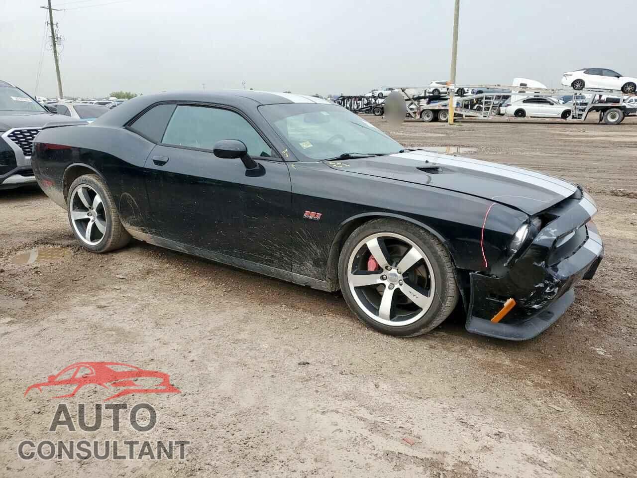 DODGE CHALLENGER 2012 - 2C3CDYCJ9CH227972