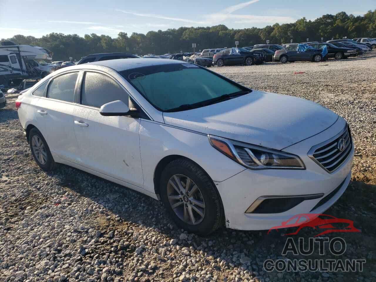 HYUNDAI SONATA 2017 - 5NPE24AF5HH515794