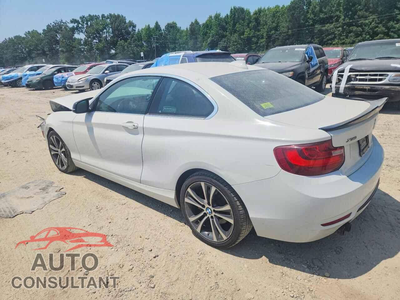 BMW 2 SERIES 2015 - WBA1G9C57FVX96766