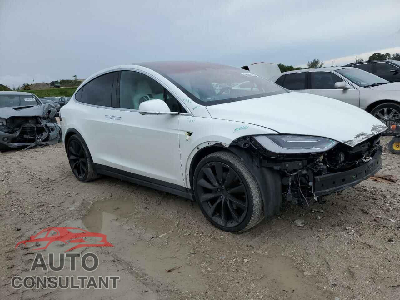 TESLA MODEL X 2019 - 5YJXCBE20KF151503