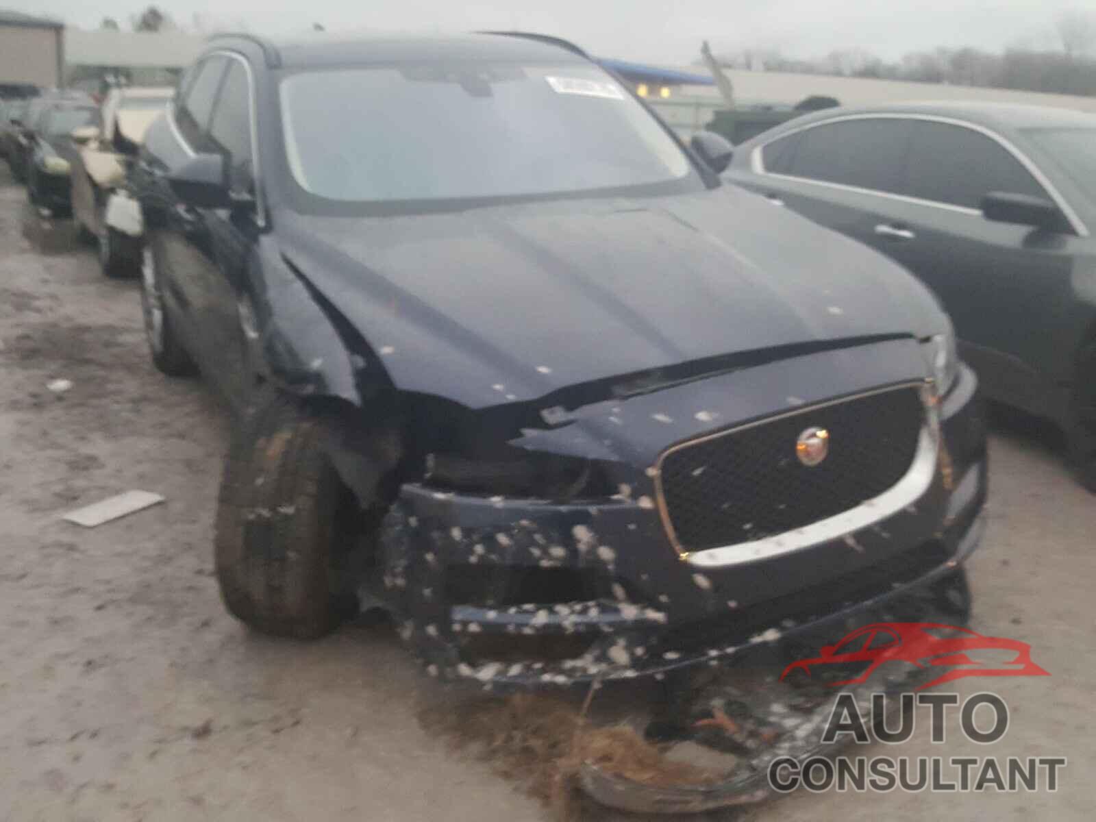 JAGUAR F-PACE 2017 - SADCK2BV8HA499426