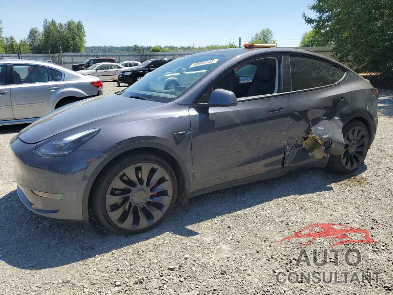 TESLA MODEL Y 2022 - 7SAYGDEF3NF384161