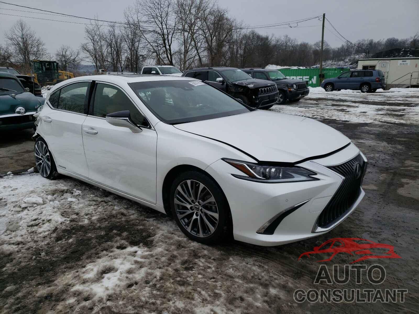 LEXUS ES300 2019 - JTHB21B19K2013012