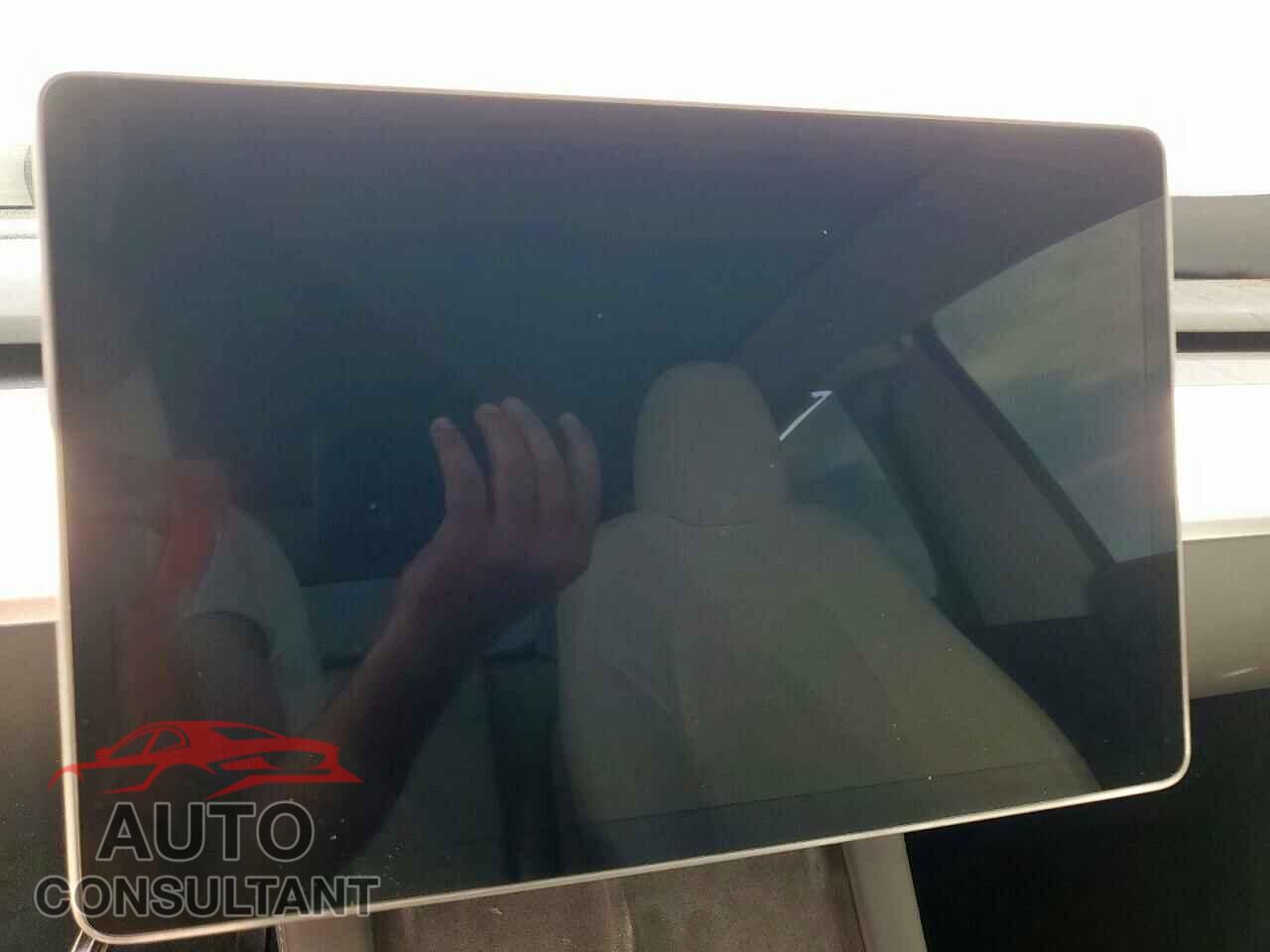 TESLA MODEL Y 2024 - 7SAYGDEE0RA313929