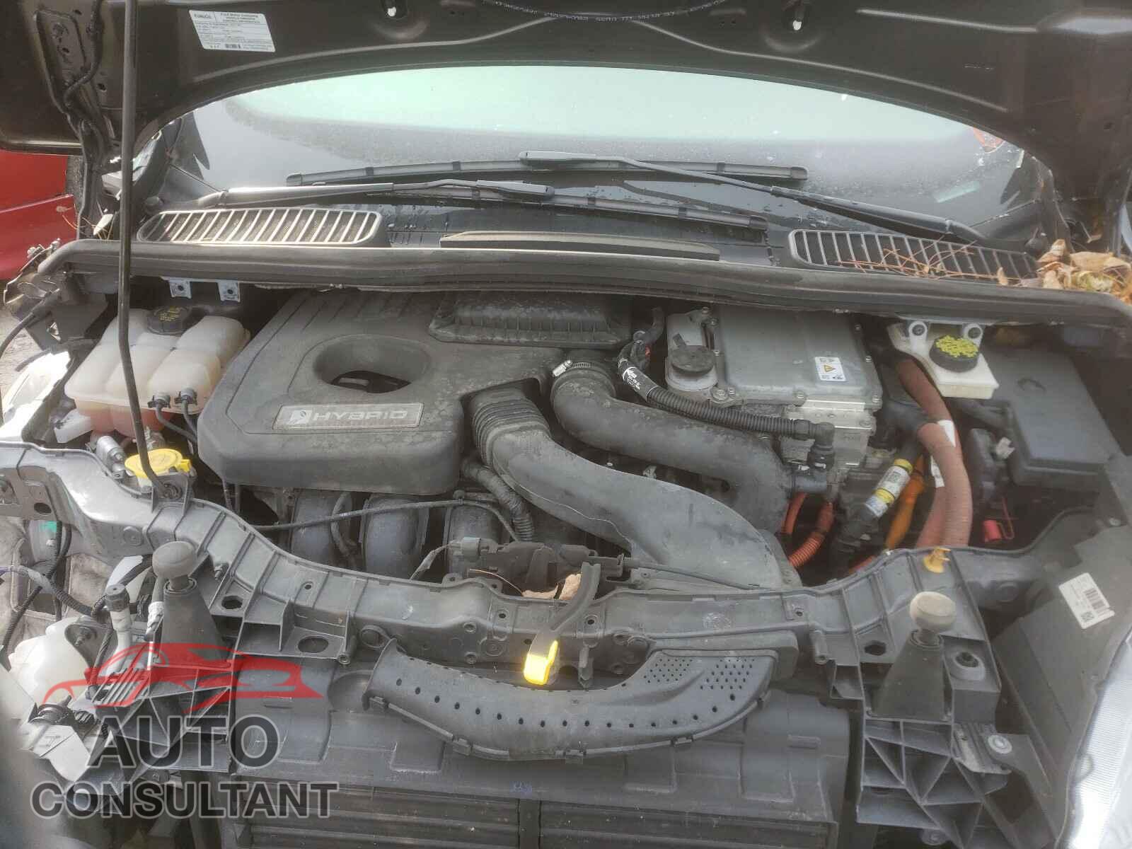 FORD CMAX 2017 - 1FADP5AU4HL112246