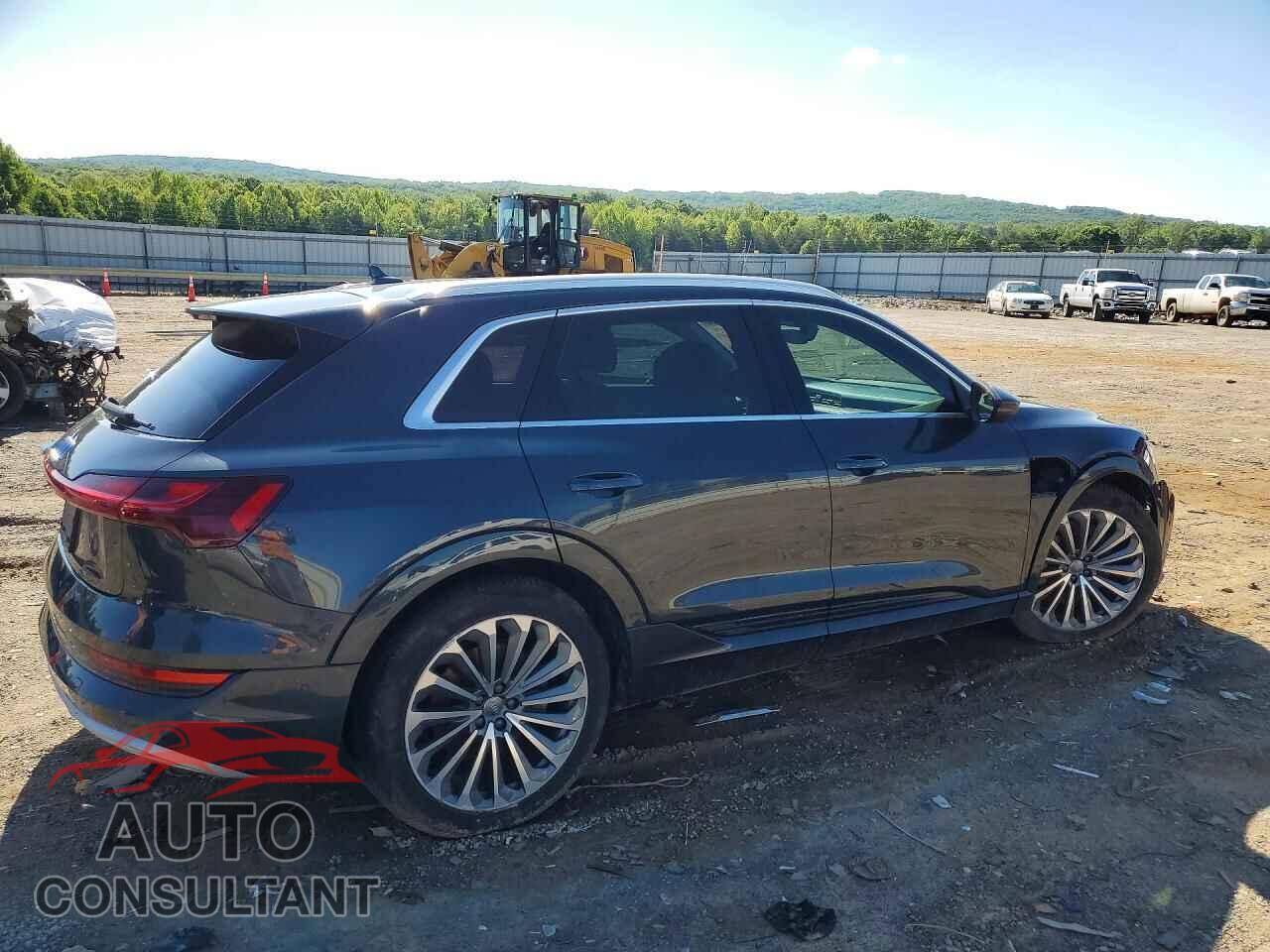 AUDI E-TRON 2019 - WA1VAAGE7KB024775