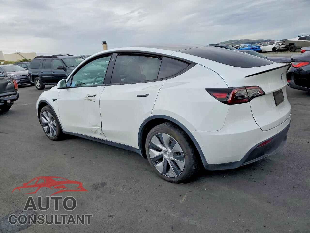 TESLA MODEL Y 2021 - 5YJYGDEE1MF281159
