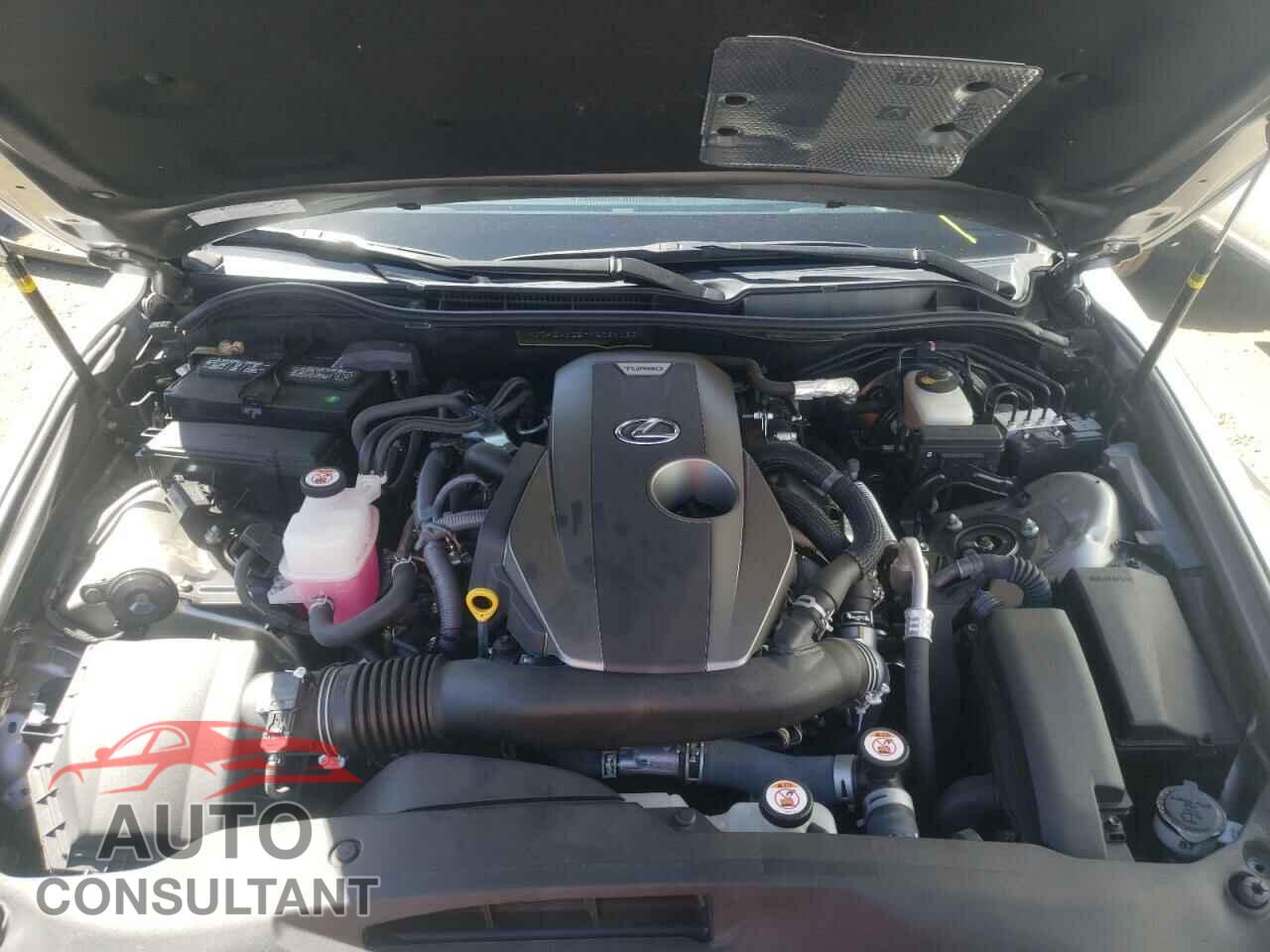 LEXUS IS 2019 - JTHBA1D27K5091182