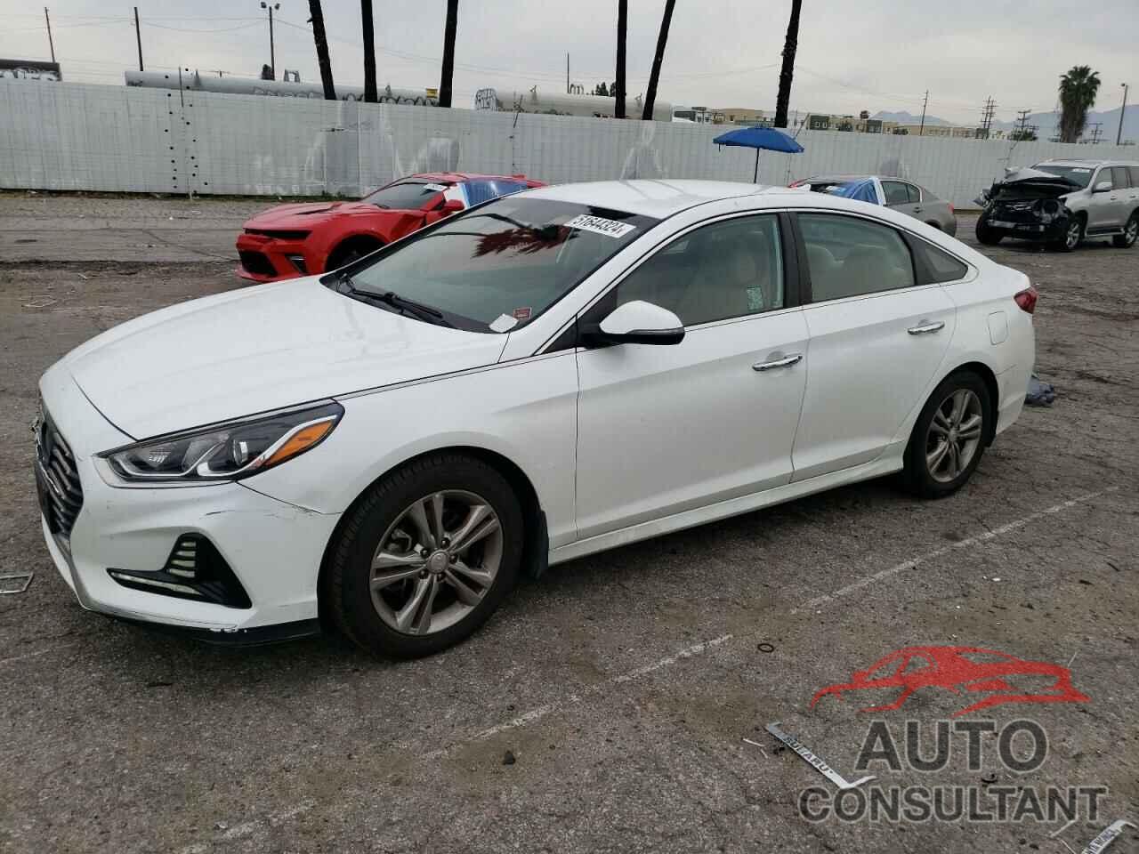 HYUNDAI SONATA 2018 - 5NPE34AF6JH623327