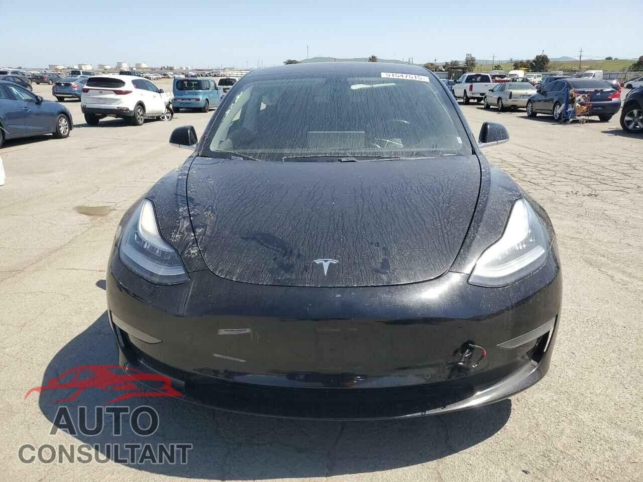 TESLA MODEL 3 2019 - 5YJ3E1EA1KF410137