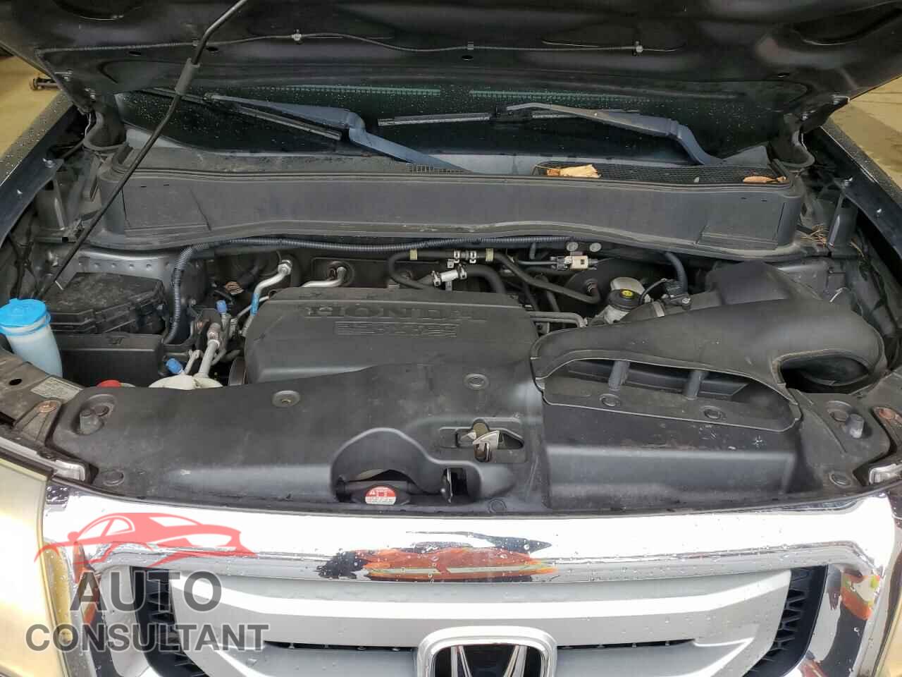 HONDA PILOT 2011 - 5FNYF4H73BB077010