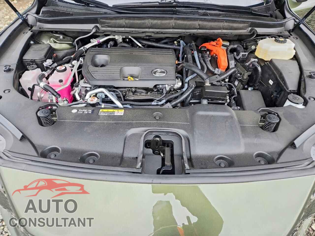 LEXUS RX330 2025 - JTJCJMGA7S2024901
