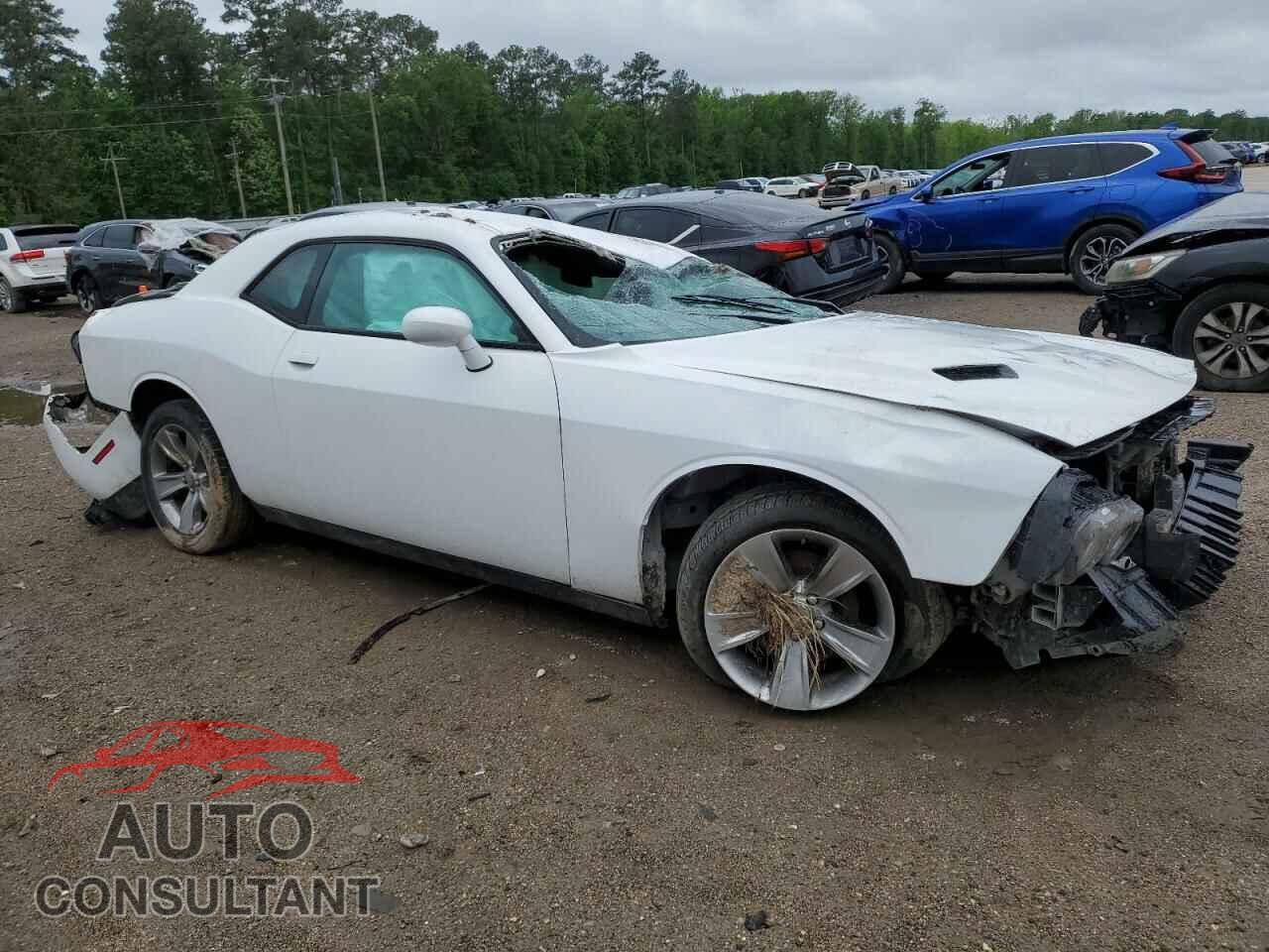 DODGE CHALLENGER 2019 - 2C3CDZAG8KH714592
