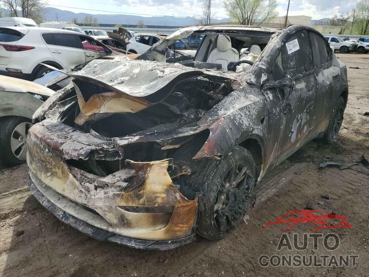 TESLA MODEL Y 2023 - 7SAYGDEE0PF628665