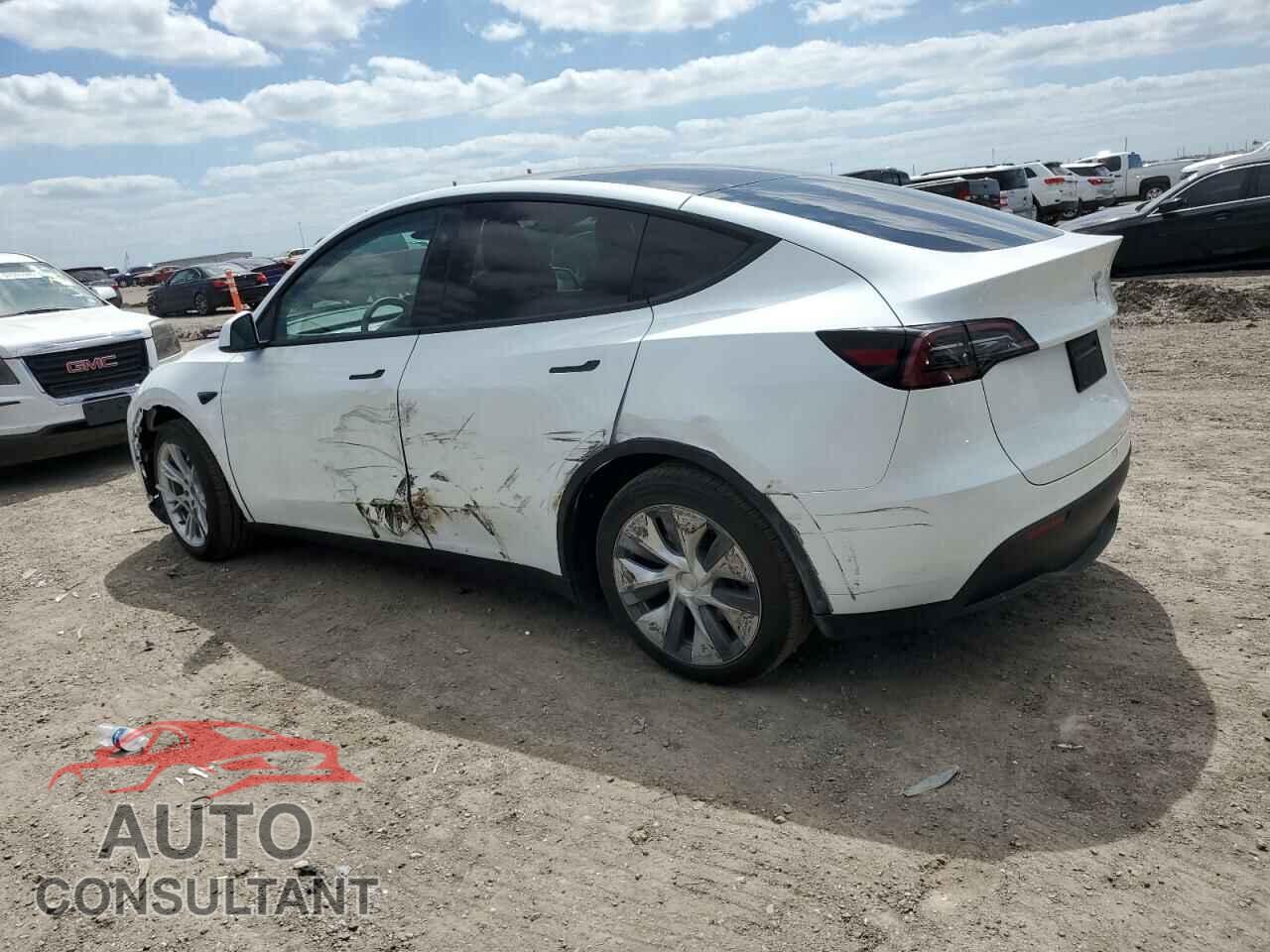 TESLA MODEL Y 2024 - 7SAYGDED4RF068286