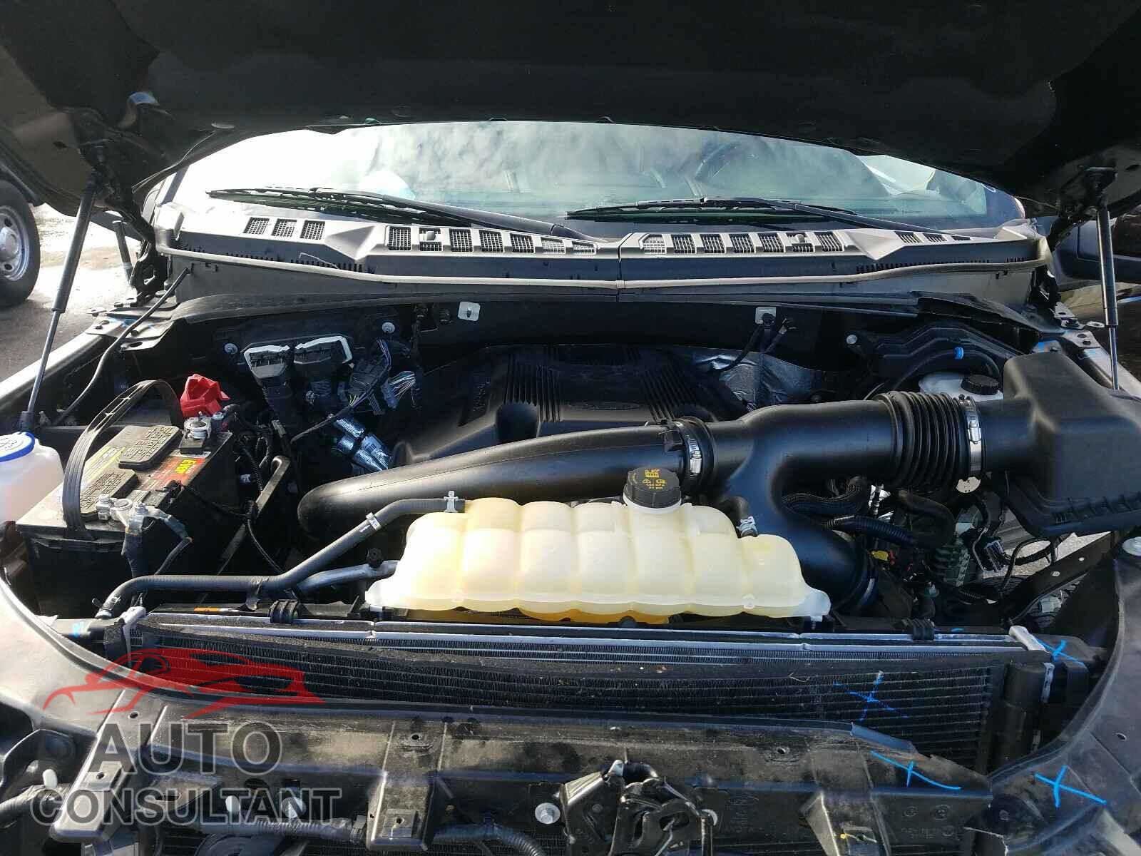 FORD F150 2019 - 1FTEW1E4XKFC10935