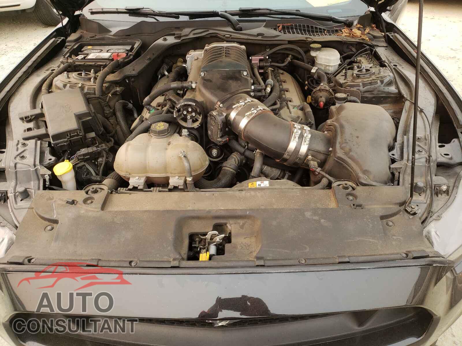 FORD MUSTANG 2016 - 1FA6P8CF9G5279732