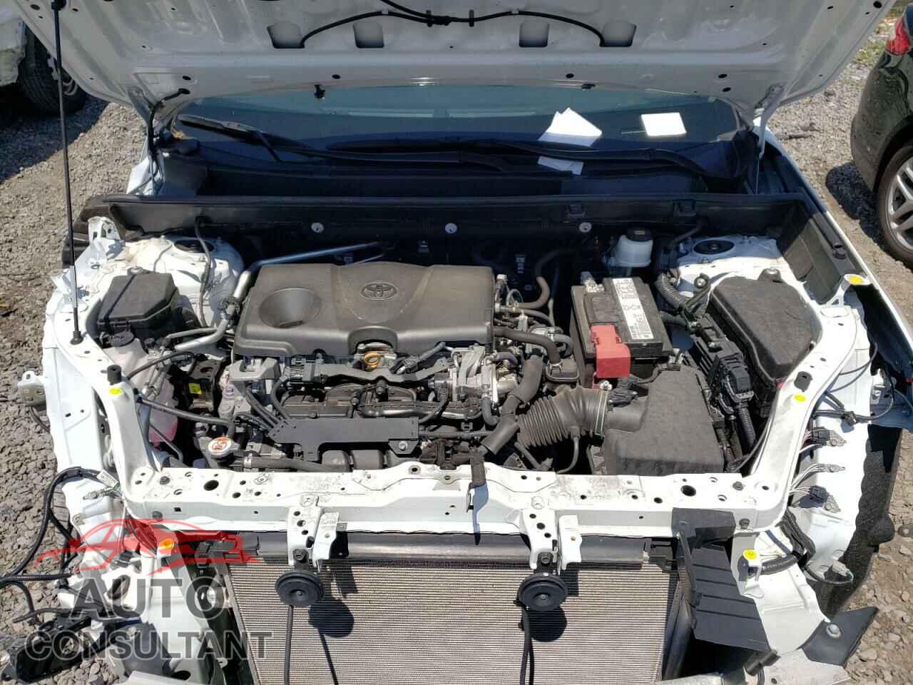 TOYOTA RAV4 2019 - 2T3A1RFV4KW044459