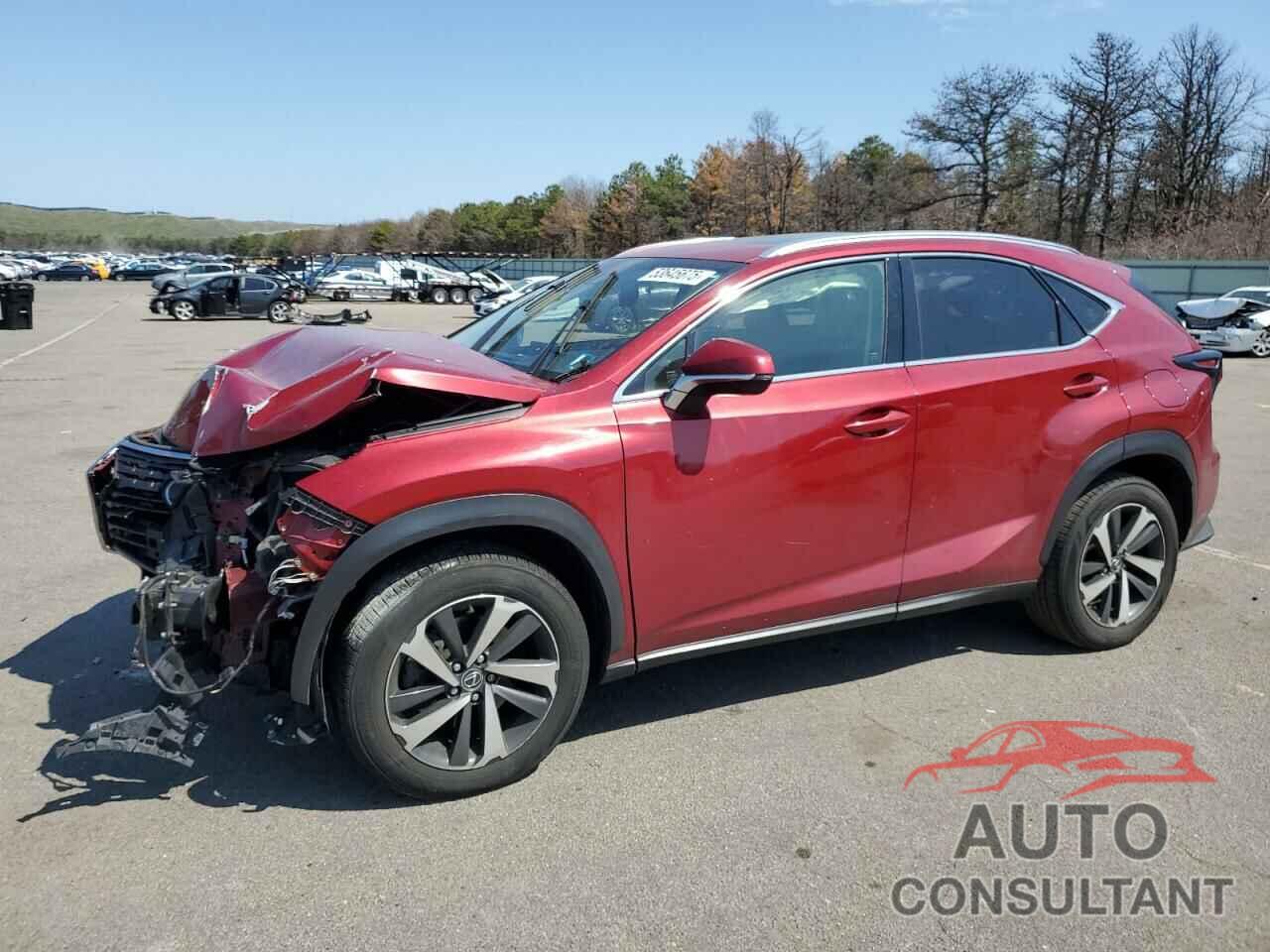 LEXUS NX 2019 - JTJBARBZ2K2208634