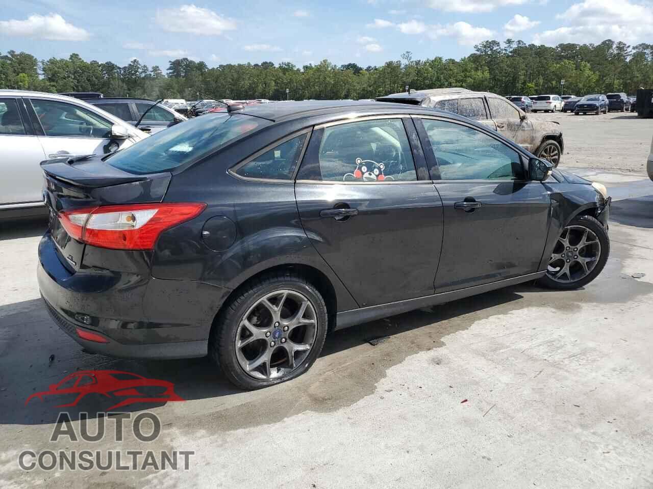 FORD FOCUS 2013 - 1FADP3F2XDL252484
