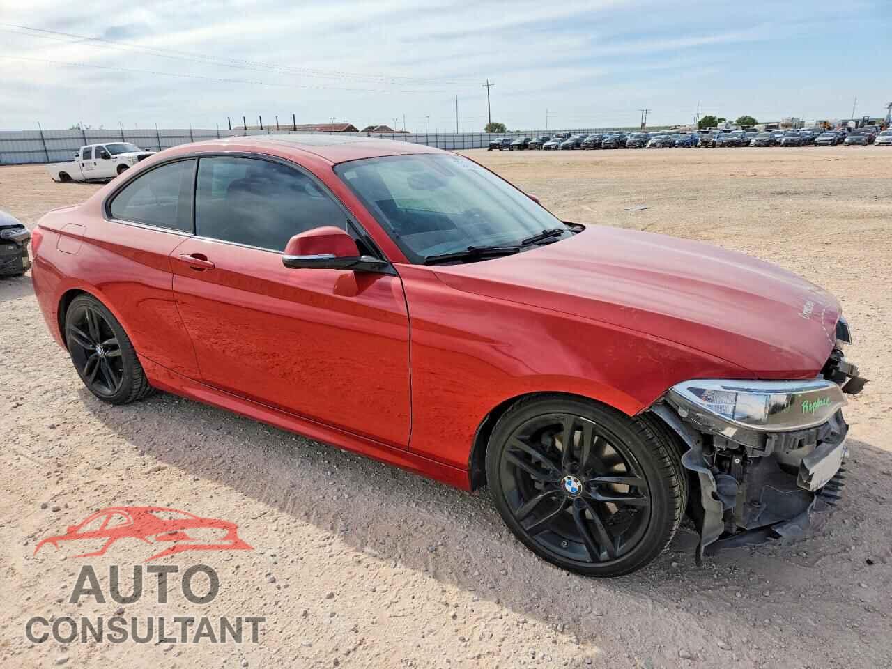 BMW 2 SERIES 2016 - WBA1F9C5XGV545003