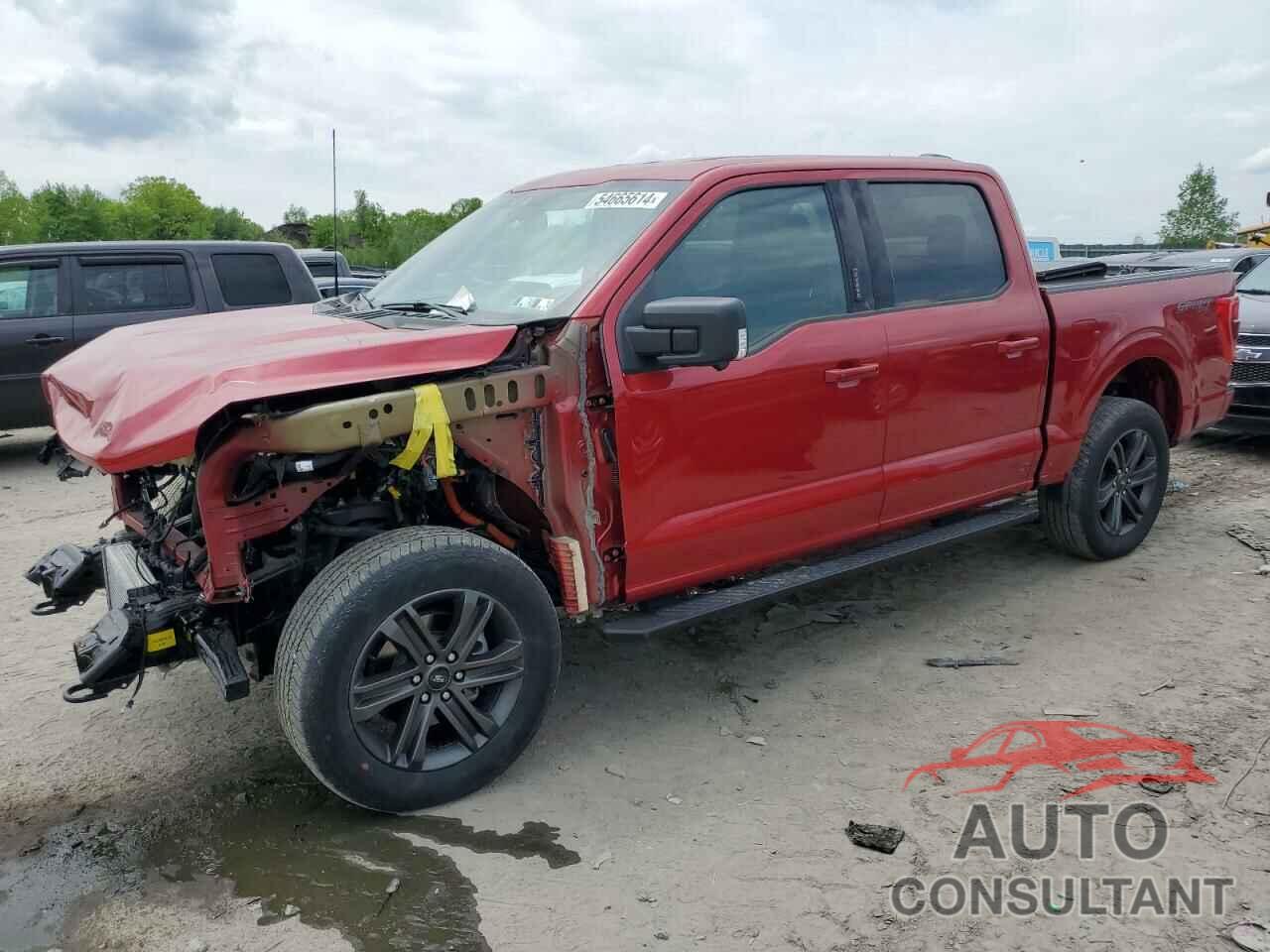 FORD F-150 2022 - 1FTFW1E89NKF20013