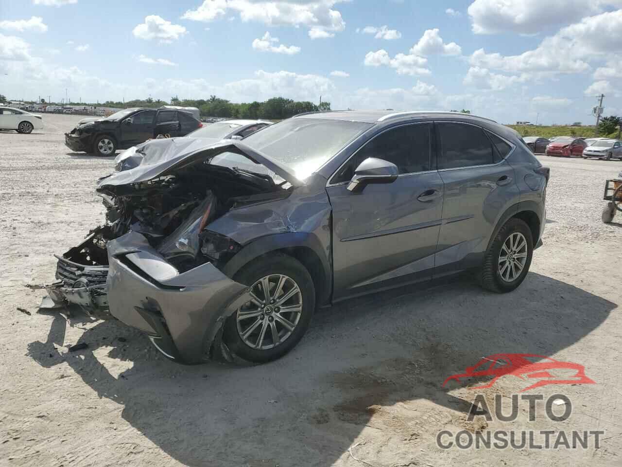 LEXUS NX 2019 - JTJYARBZ8K2148918