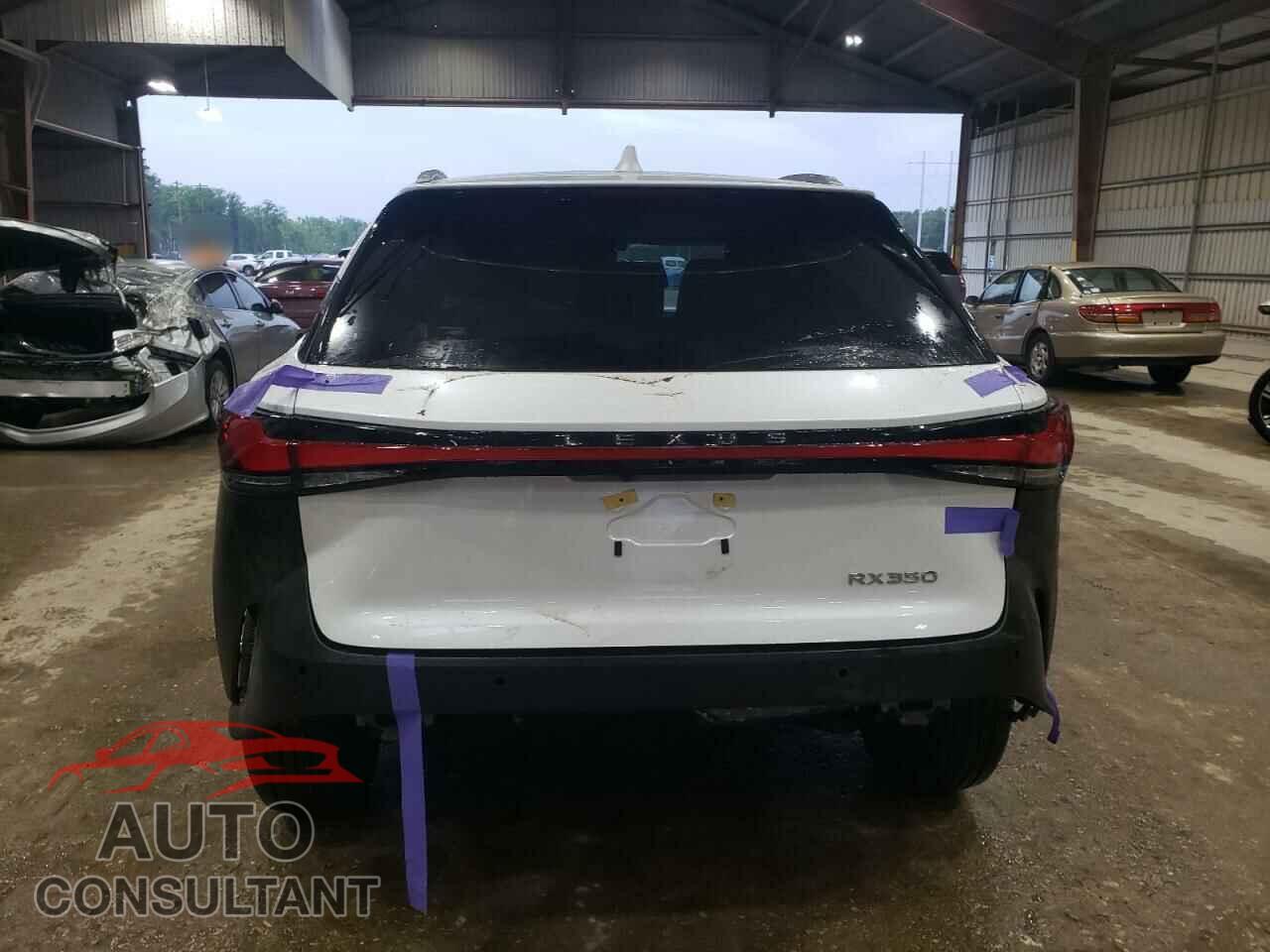 LEXUS RX350 2024 - 2T2BAMBA8RC048248