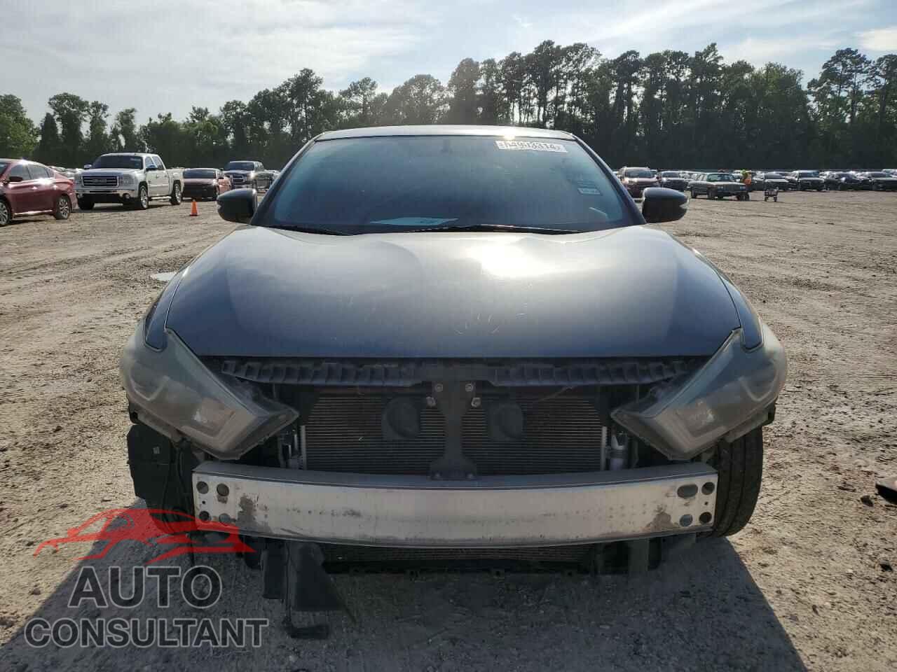 NISSAN MAXIMA 2017 - 1N4AA6AP1HC402609
