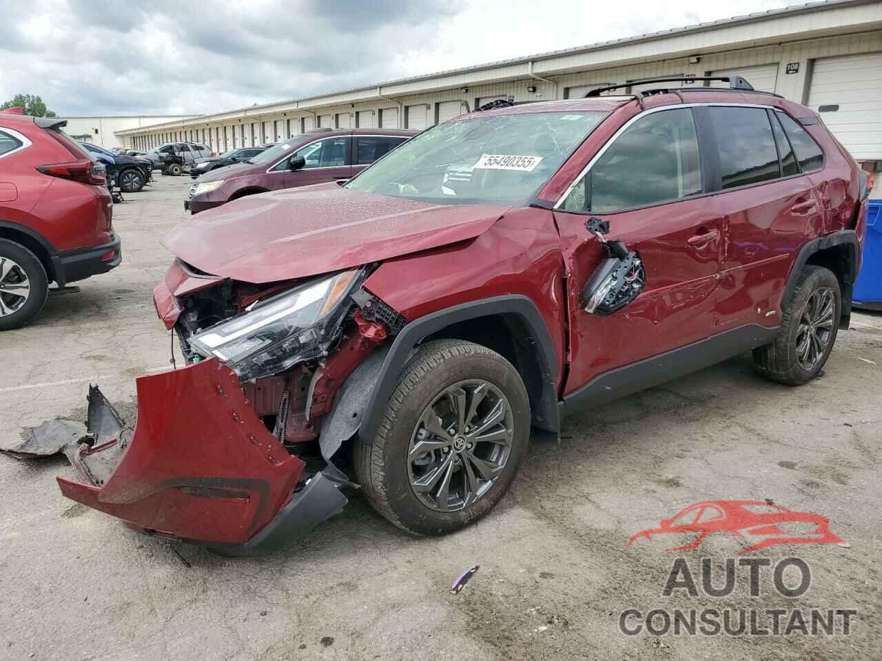 TOYOTA RAV4 2024 - JTMB6RFV1RD139767