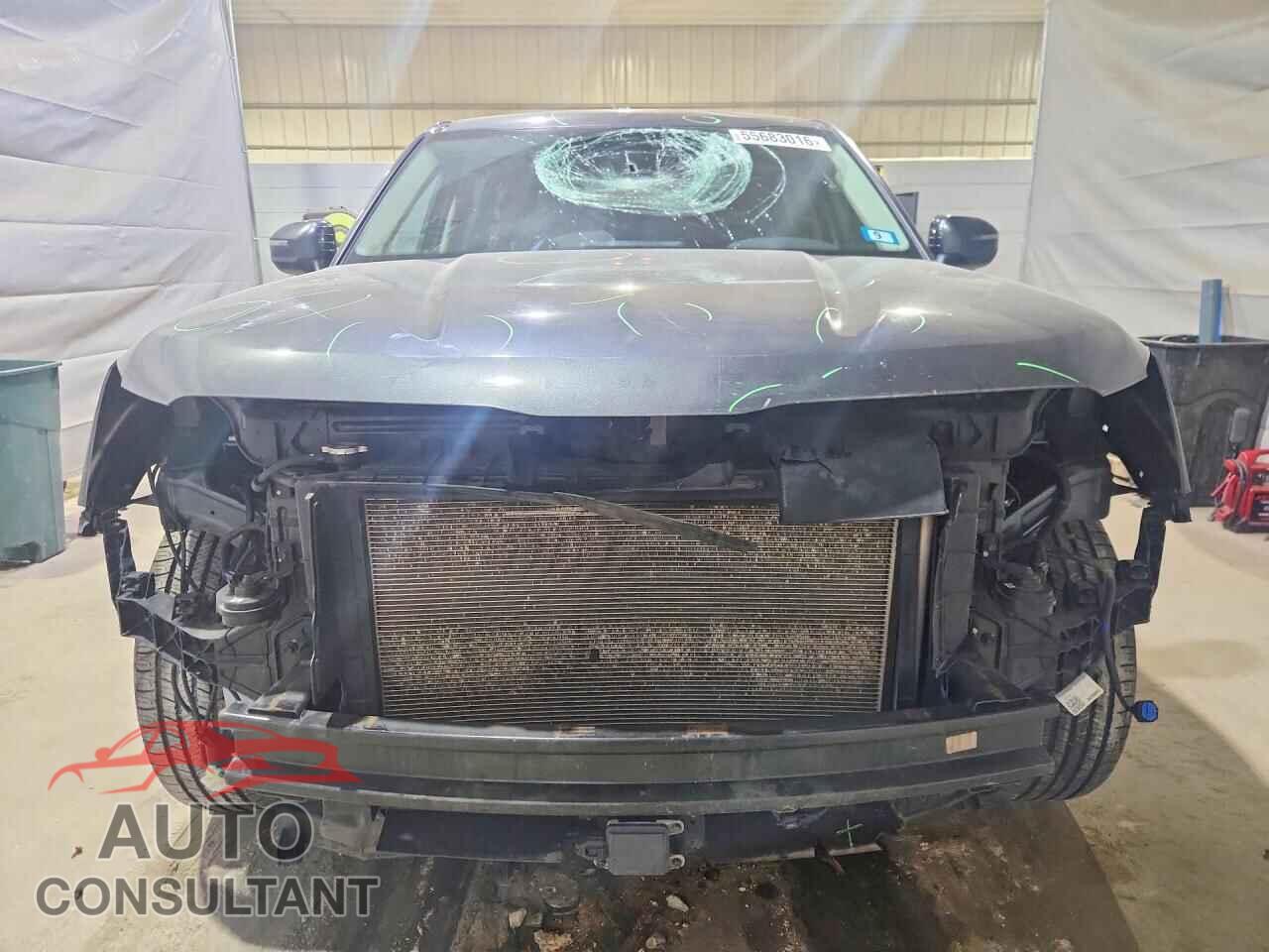 KIA TELLURIDE 2021 - 5XYP2DHC8MG098001
